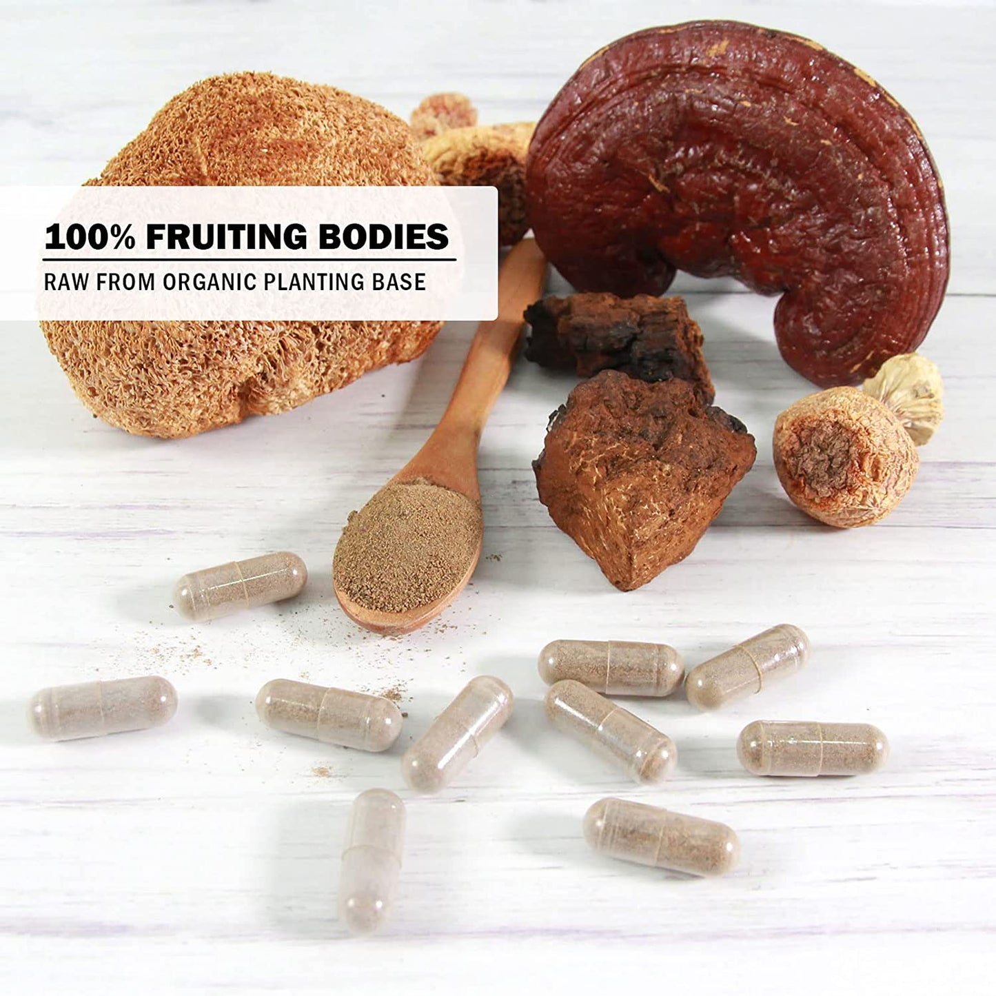 14 Mushrooms + Absorption Enhancer – 120 Veggie Capsules