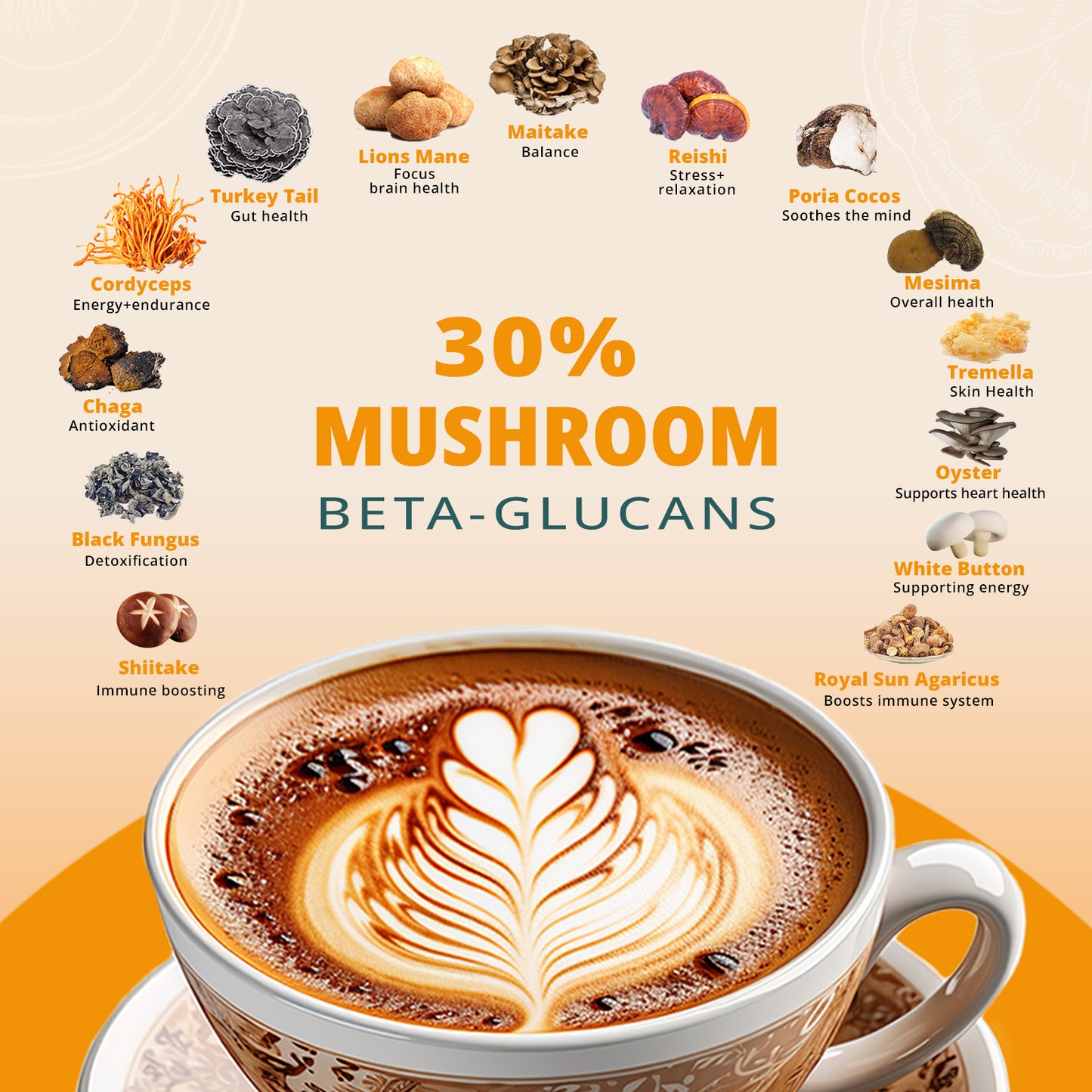 Cold Brew Mushrooms Coffee Powder, 5.9oz