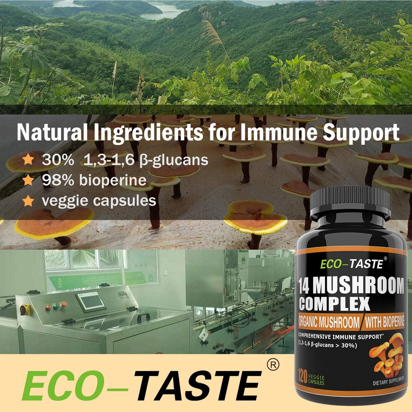 14 Mushrooms + Absorption Enhancer – 120 Veggie Capsules