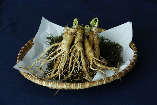 Red Panax Ginseng, known as the “King of Herbs”, has been used for centuries for its many incredible benefits.