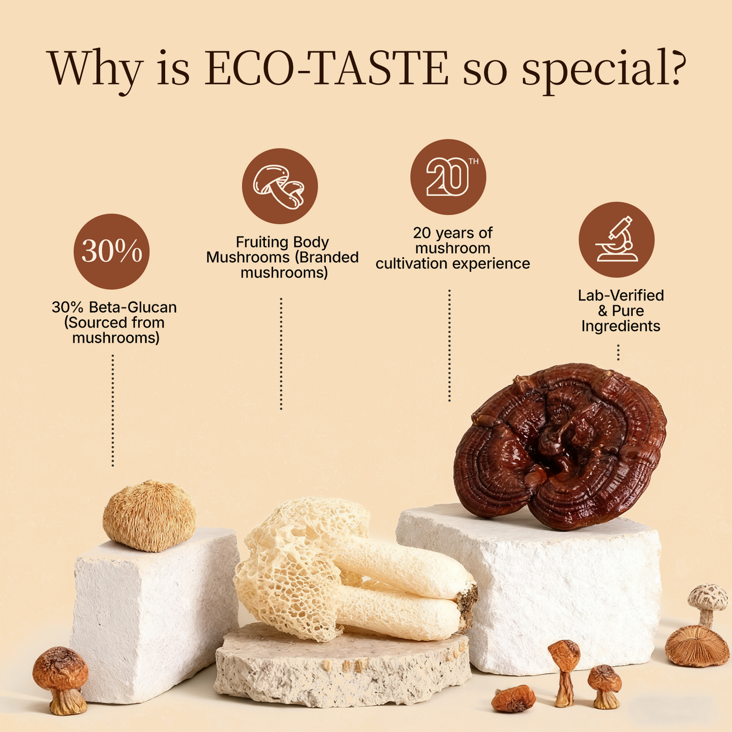 Mushrooms Coffee 14 in 1-60 Servings, 5.9oz