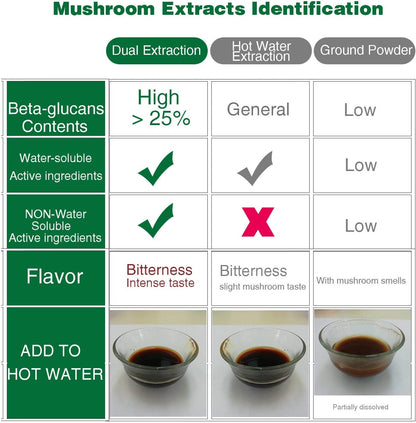 6 Blend Mushroom Extract Powder, Designed to Improve Optimal Health and Well-Being, 3.5oz