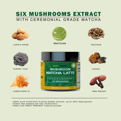 Mushroom Matcha Latte Powder, Ceremonial Grade Matcha, 3.17oz