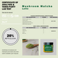 Matcha Latte Powder, Organic Mushroom Extract with Ceremonial Grade Matcha Mix, 3.17oz