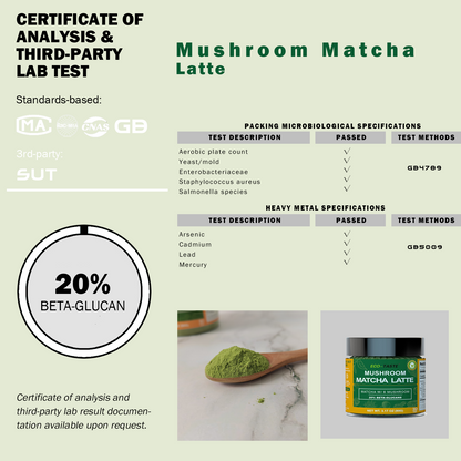 Mushroom Matcha Latte Powder, Ceremonial Grade Matcha, 3.17oz