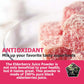 Elderberry Juice Powder, Supports Healthy Immune System, Non GMO and Vegan Friendly, 6oz