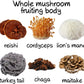 6 Blend Mushroom Extract Powder, Designed to Improve Optimal Health and Well-Being, 3.5oz