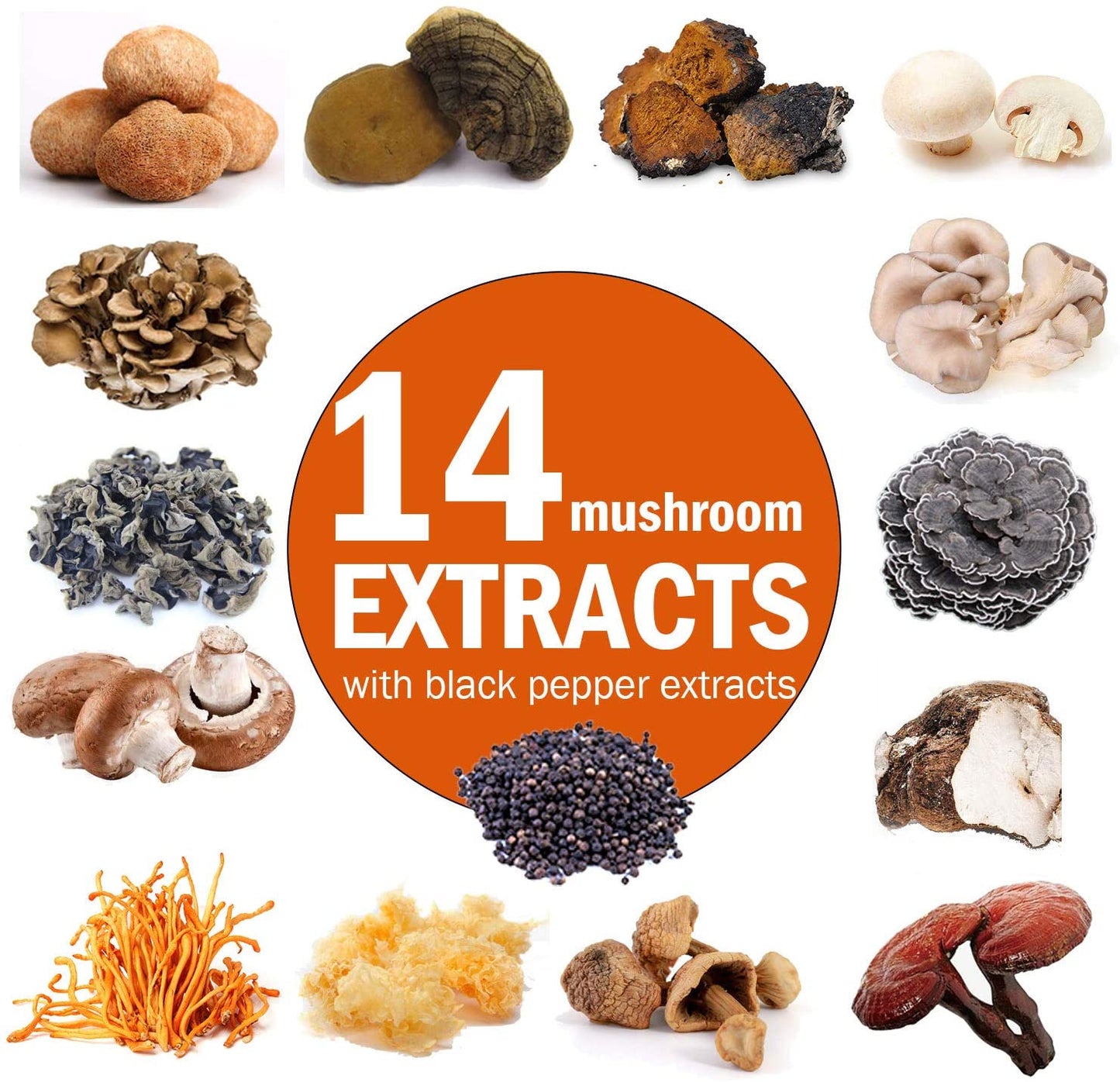 14 Mushrooms + Absorption Enhancer – 120 Veggie Capsules